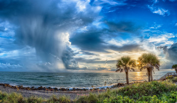 Картинка природа тропики простор