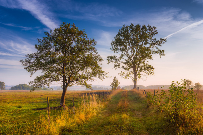 Обои картинки фото природа, дороги, простор