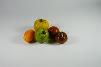 Картинка еда помидоры томаты