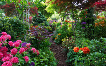 Картинка природа парк весна кусты цветы