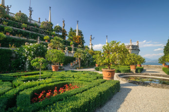 Картинка природа парк клумбы деревья кусты