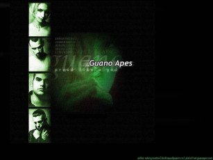 Картинка guano apes музыка