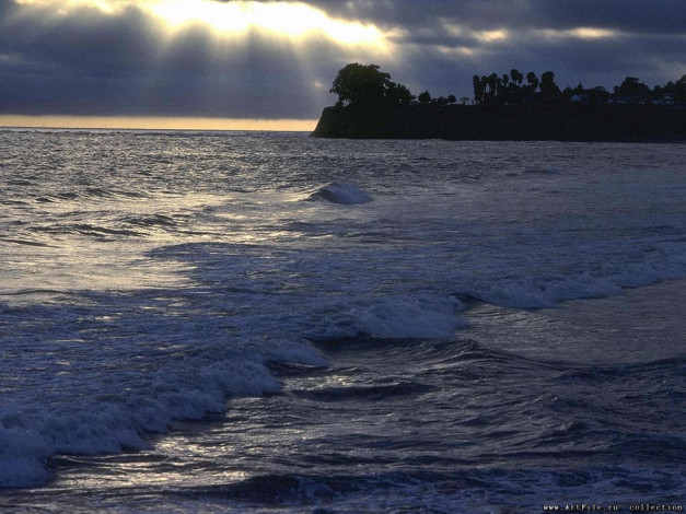 Обои картинки фото 