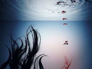 Картинка разное другое