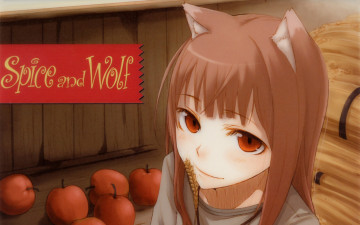 Картинка аниме spice and wolf