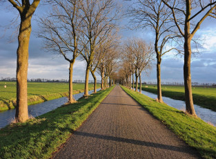 Картинка природа дороги вода поле деревья