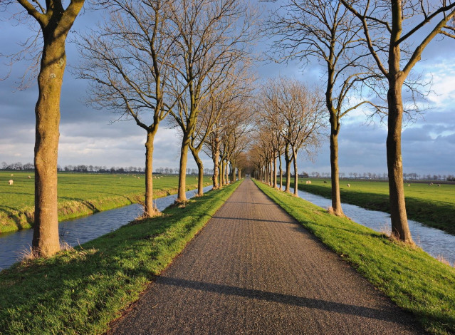 Обои картинки фото природа, дороги, вода, поле, деревья