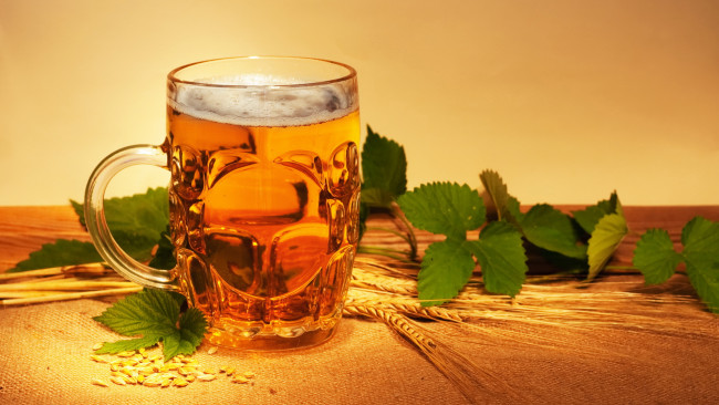 Обои картинки фото еда, напитки, пиво, пена, бокал