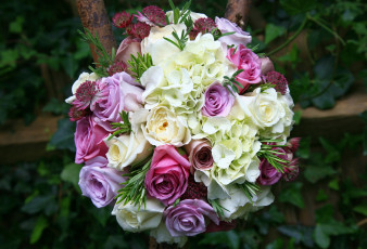 Картинка цветы букеты композиции розы астрантия