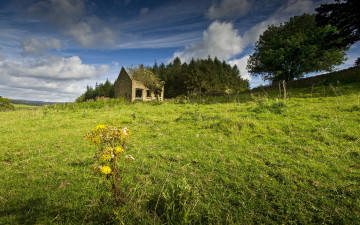 Картинка природа луга луг