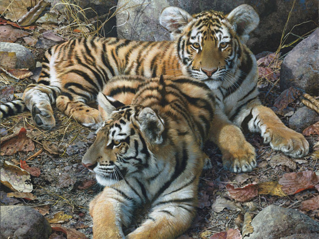 Обои картинки фото рисованные, carl, brenders