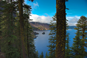 Картинка crater lake national park сша природа реки озера парк озеро деревья