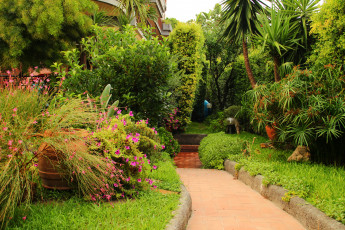 Картинка италия сицилия природа парк деревья кусты цветы