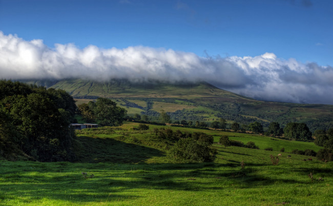 Обои картинки фото уэльс, природа, луга, поля, дымка