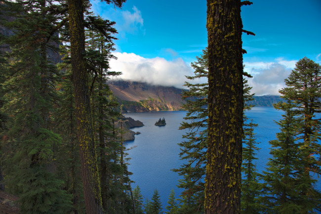 Обои картинки фото crater, lake, national, park, сша, природа, реки, озера, парк, озеро, деревья
