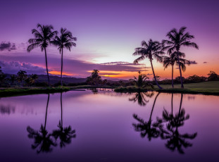 Картинка природа тропики рассвет