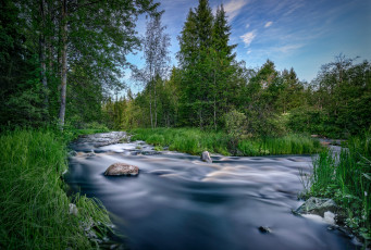 Картинка природа реки озера река лес