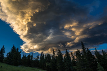 Картинка природа лес облака