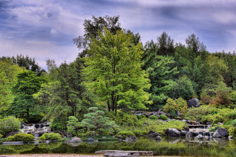 Картинка природа реки озера лес река