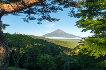 Картинка природа горы деревья небо гора