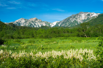 Картинка природа горы луг