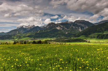 Картинка природа луга цветы трава долина горы