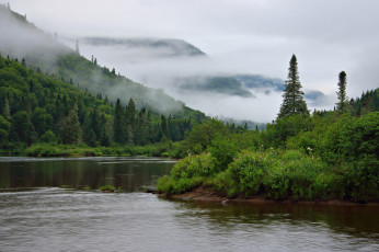 Картинка природа реки озера лес река