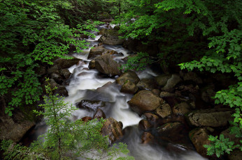 Картинка природа реки озера лес река