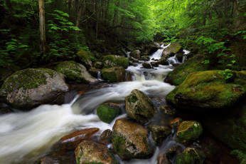 Картинка природа реки озера лес река