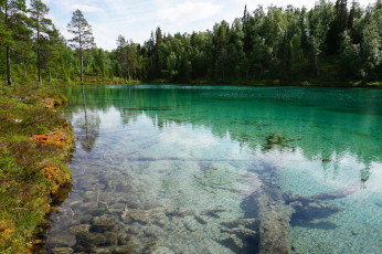 Картинка природа реки озера лес река