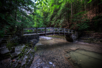 Картинка природа реки озера мостик лес река