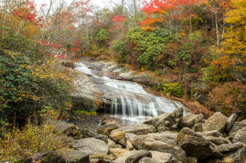 Картинка природа реки озера река лес