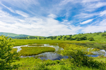 Картинка природа реки озера трава озеро