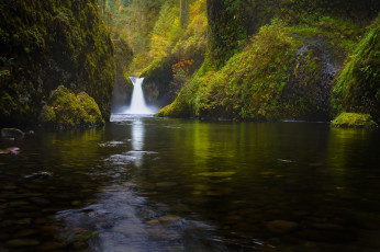 Картинка природа водопады деревья река лес водопад
