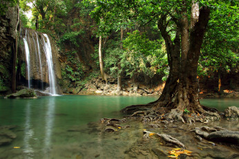 Картинка природа водопады лес река водопад