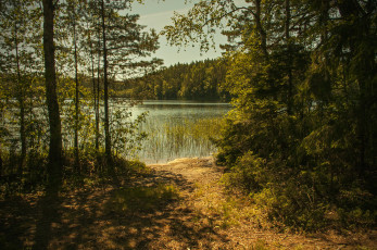 Картинка природа реки озера река лес