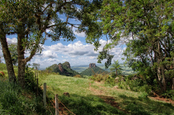 Картинка природа пейзажи холмы тропа лес