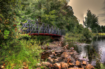 Картинка природа реки озера лес река