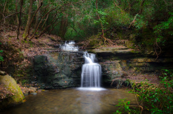 Картинка природа водопады водопад лес река