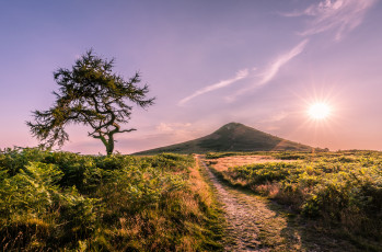 Картинка природа восходы закаты рассвет