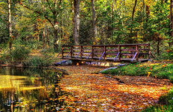 Картинка природа реки озера река лес