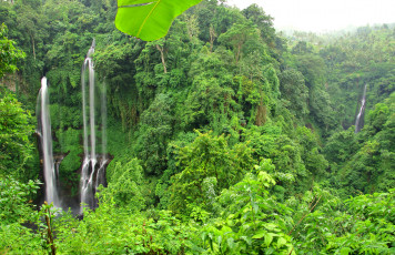 Картинка природа водопады лес река водопад