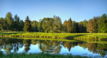 Картинка природа реки озера лес река