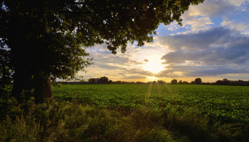 Картинка природа восходы закаты утро рассвет поле