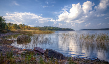 Картинка природа реки озера лес река