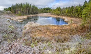 Картинка природа реки озера лес озеро