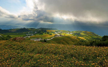 Картинка природа луга простор трава равнина