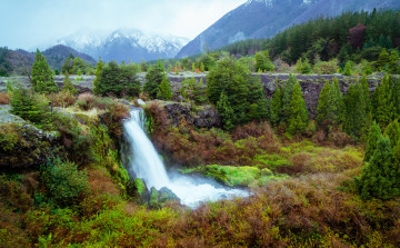 Картинка природа водопады лес река водопад