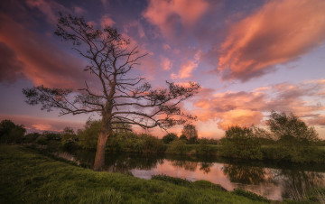 Картинка природа реки озера река лес