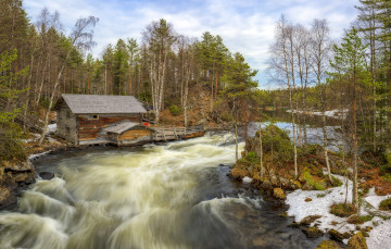 Картинка природа реки озера лес река